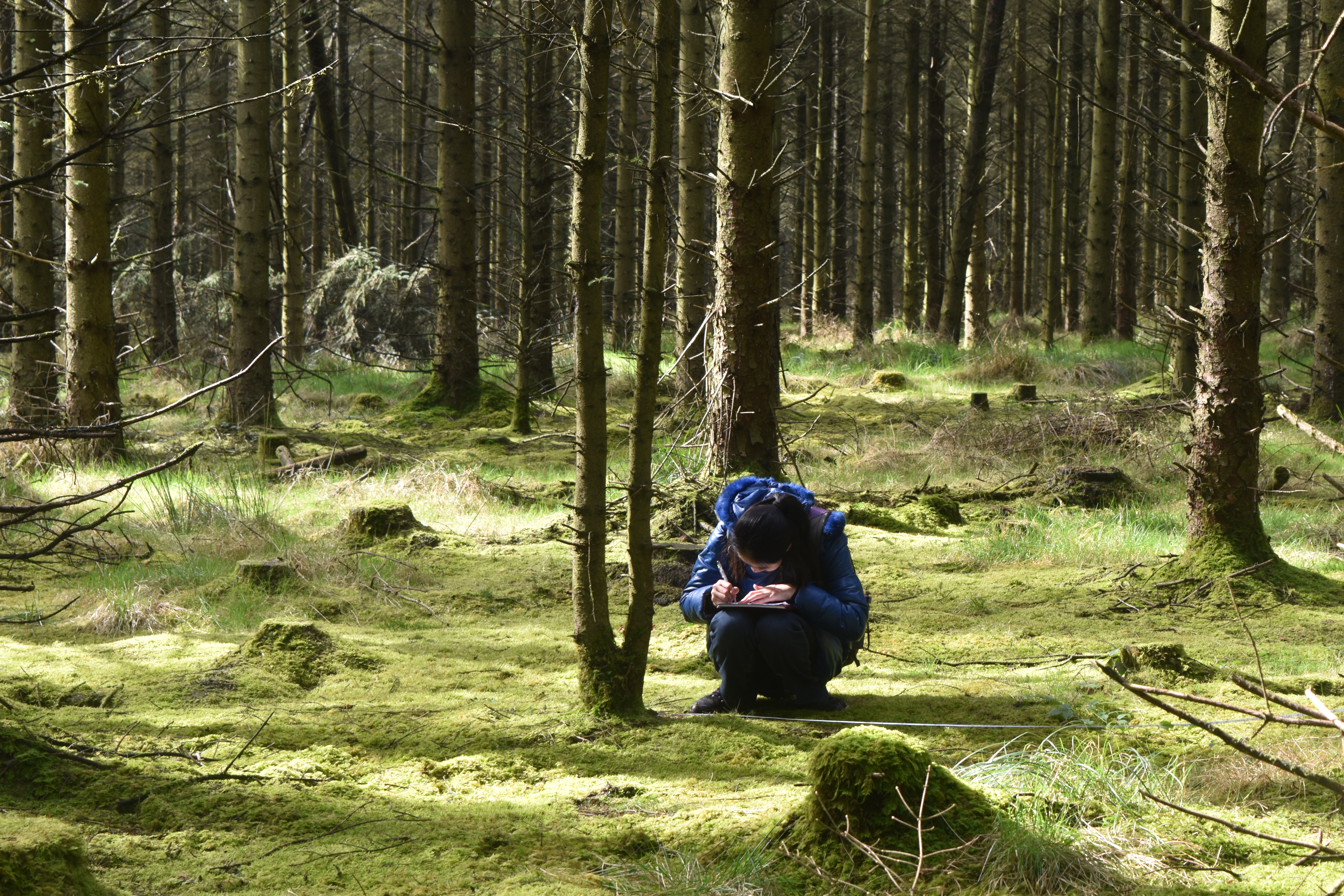 Coillte Launches New Scholarship Programme To Promote Forestry As A Career And Help Tackle Projected Skills Shortage In The Sector