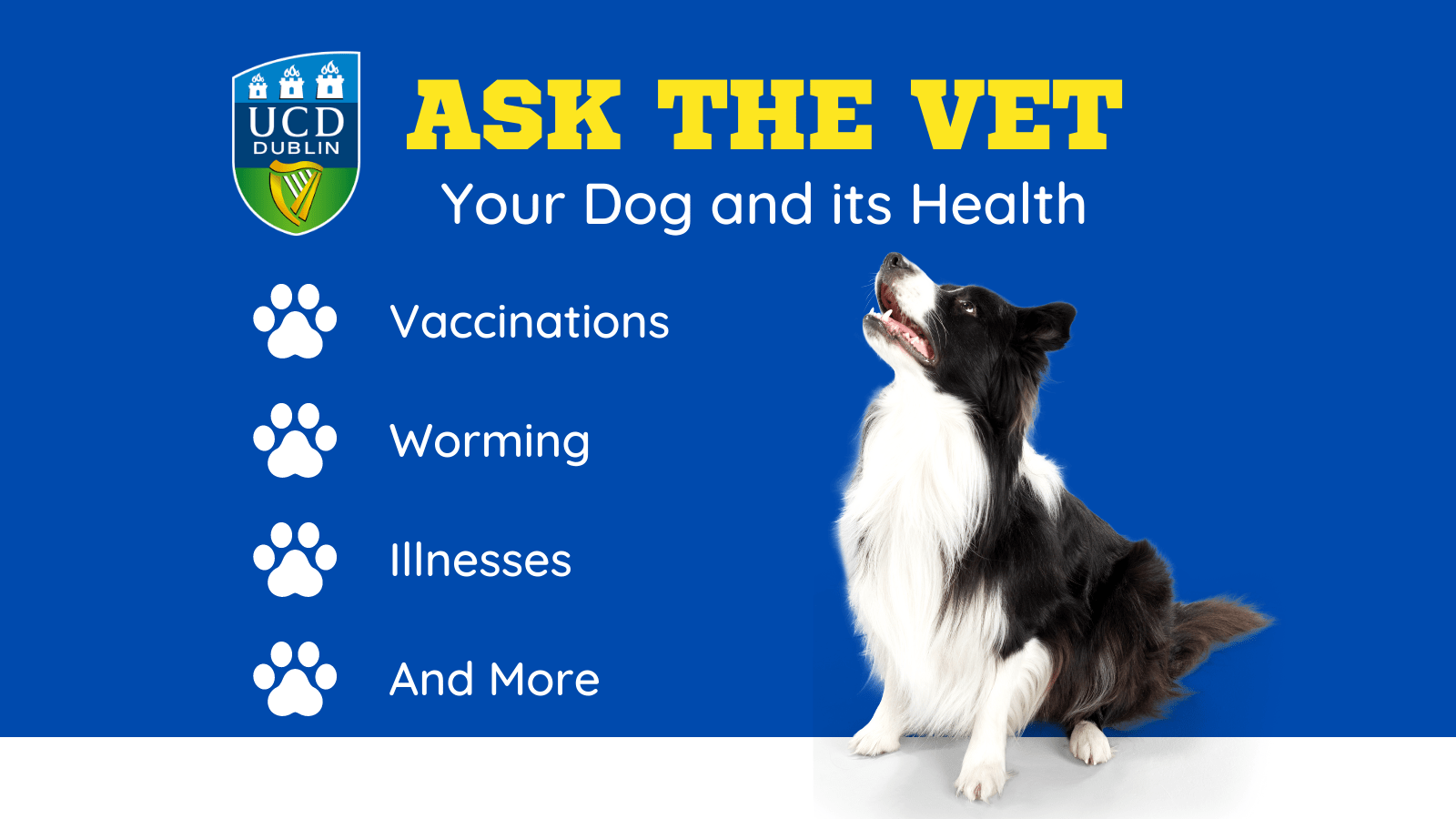 A free event for UCD alumni to find out more about their dogs health from UCD Vets