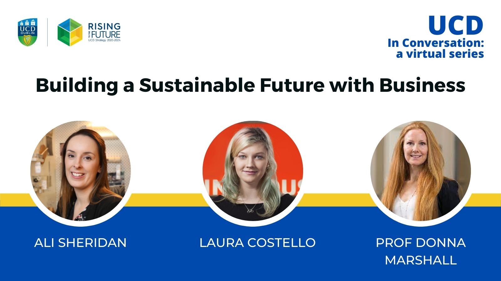 UCD webinar on building a sustainable future with business