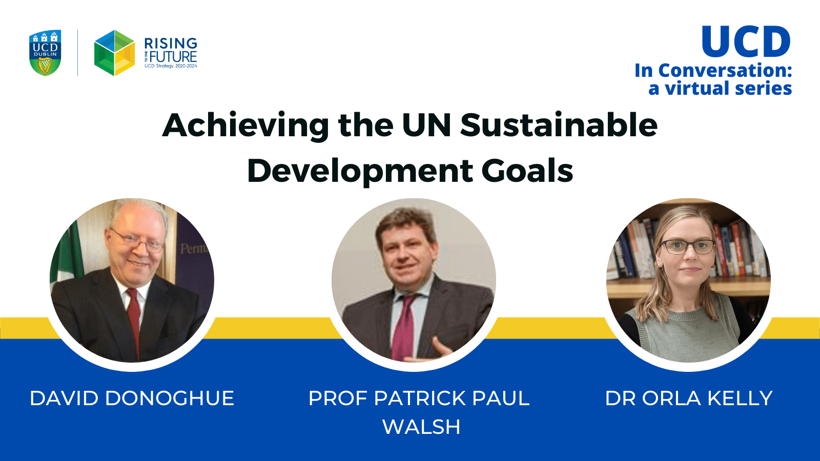 Webinar on achieving the UN Sustainable Development Goals