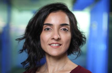 Discovery Welcomes Northeastern University Visiting Global Professor Asieh Golozar