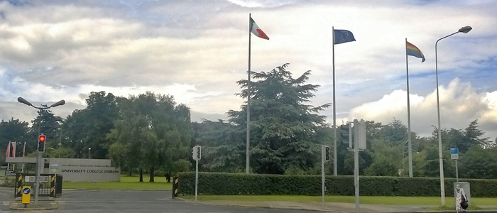 Image of three flags flying at the entrance to UCD.