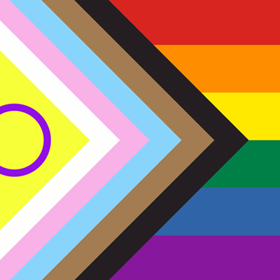 image of the progress flag