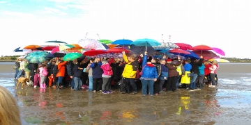 Huddle of people with umbrellas open