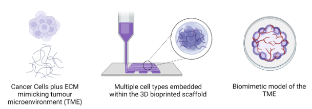 3D bioprinting diagram