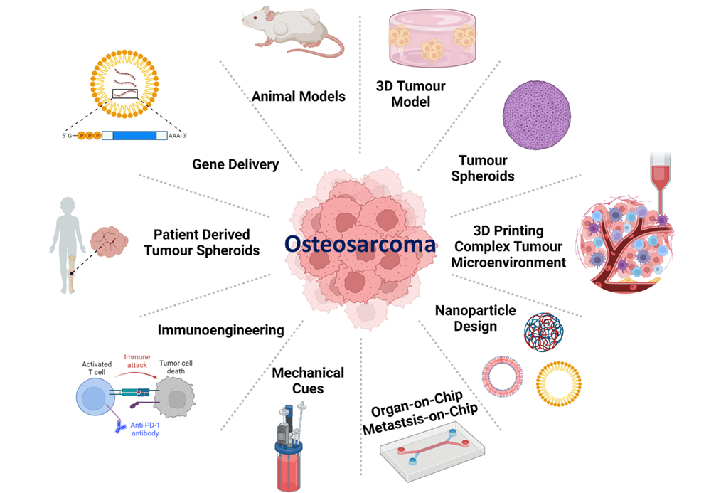 Osteocaroma Diagram
