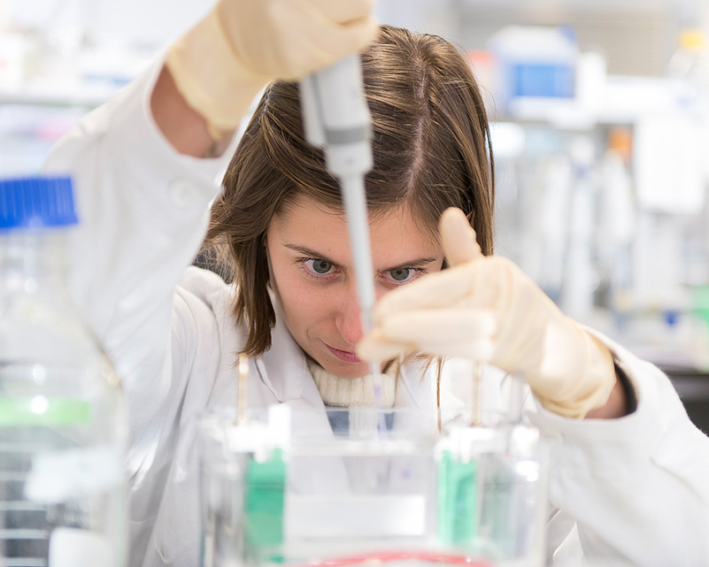UCD Cell Screening Laboratory
