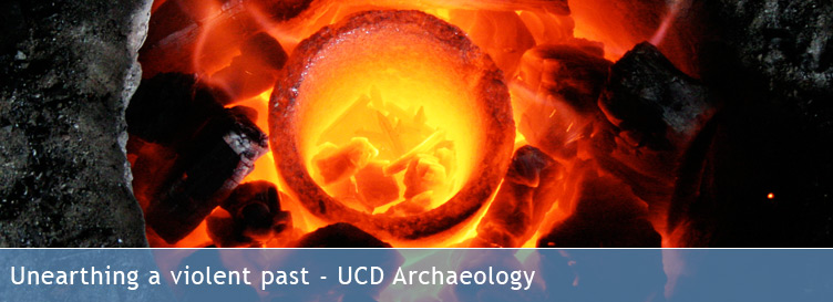 Unearthing a violent past  UCD Archaeology
