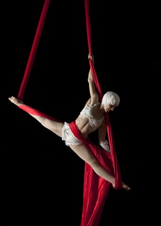 Aerial Silks