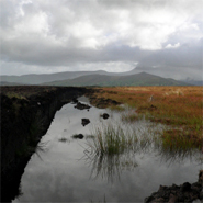 Peat slides in Ireland - Causes and prescriptions