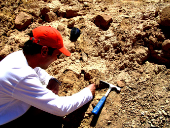 Nizar Ibrahim, PhD research scholar at the School of Medicine and Medical Science, University College Dublin, who led the expedition, unearthing the ancient jaw bone fragments from a site in the Sahara
