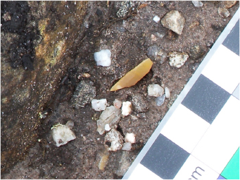 Microliths visible on a footpath at the Caochanan Ruadha excavation site