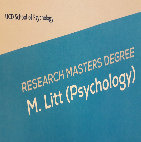 M. Litt Research Programme
