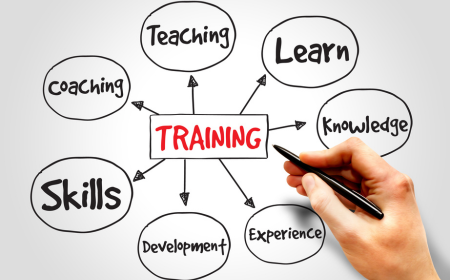 Graphic of a training programme