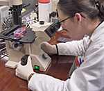 Sample thesis topics for education students picture 1