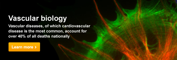 epub astrocytes in brain aging and neurodegeneration neuroscience intelligence