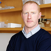 researcher