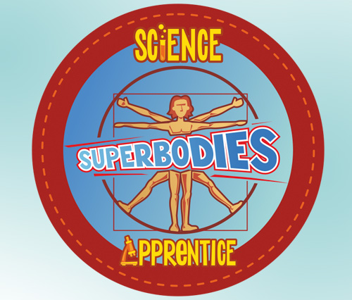 SUPERBODIES