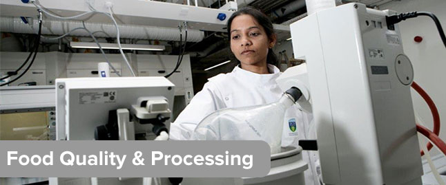 Food Quality and Processing