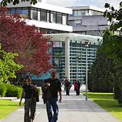 UCD's campus has over 50,000 trees