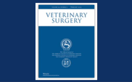 Logo of the Veterinary Surgery journal