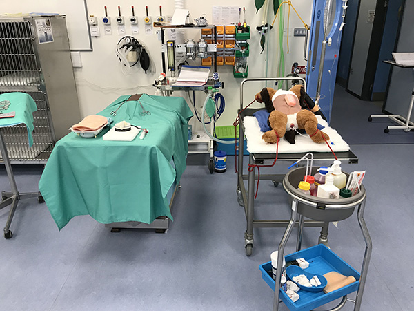 clinical skills centre surgery
