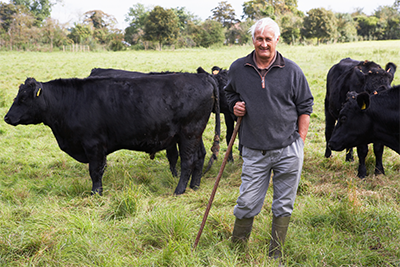 Farmer standing in a field with black cows behind him