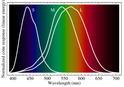 Source: http://en.wikipedia.org/wiki/File:Eyesensitivity.svg