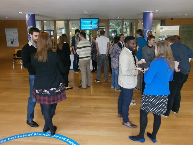  Poster Viewing and Informal Science chatting among all 3DNET Fellows during the coffee break 