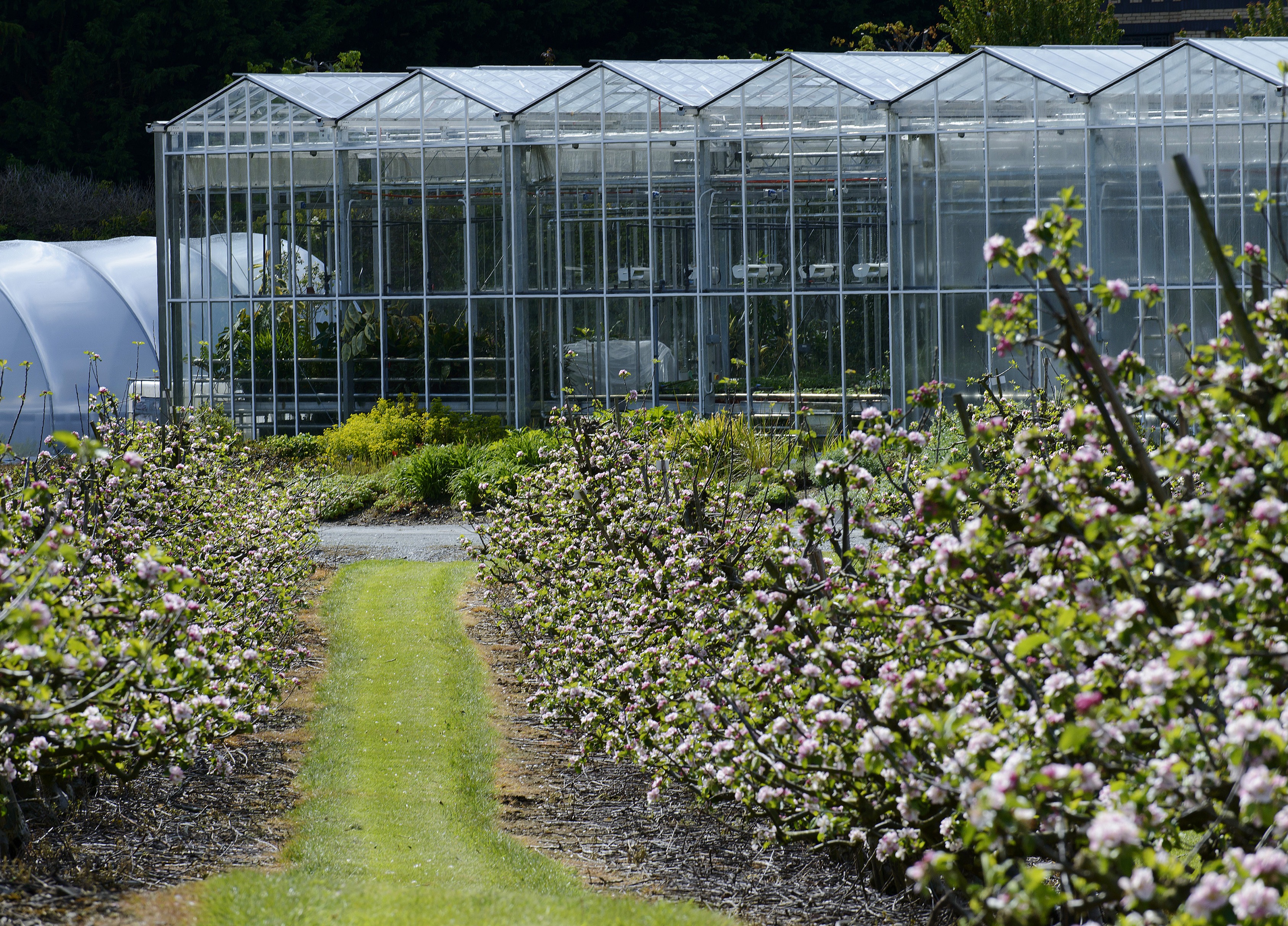 MSc Horticulture