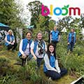 UCD wins silver at Bloom 2019