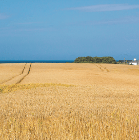 Crop Science