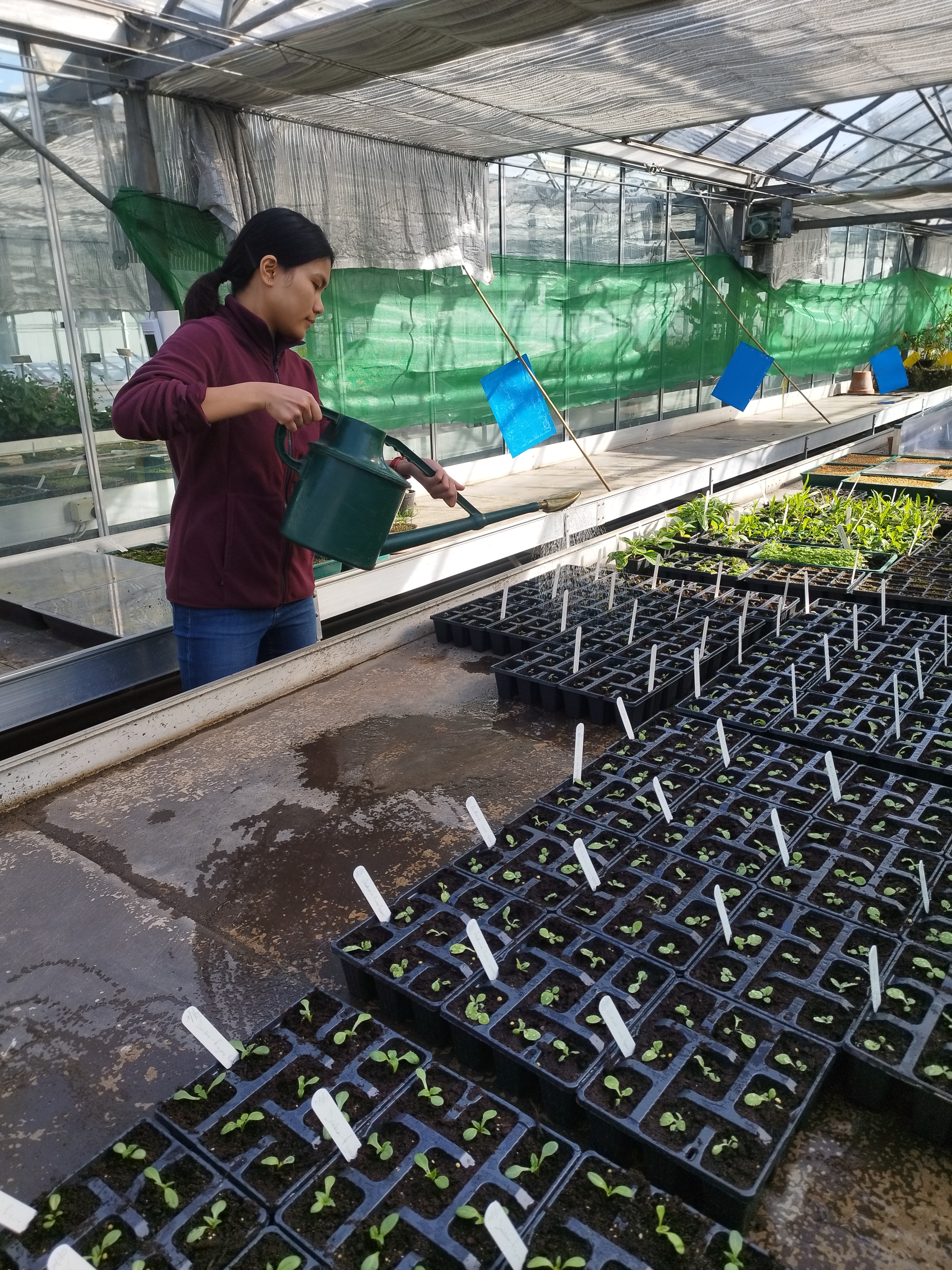 People and Communities