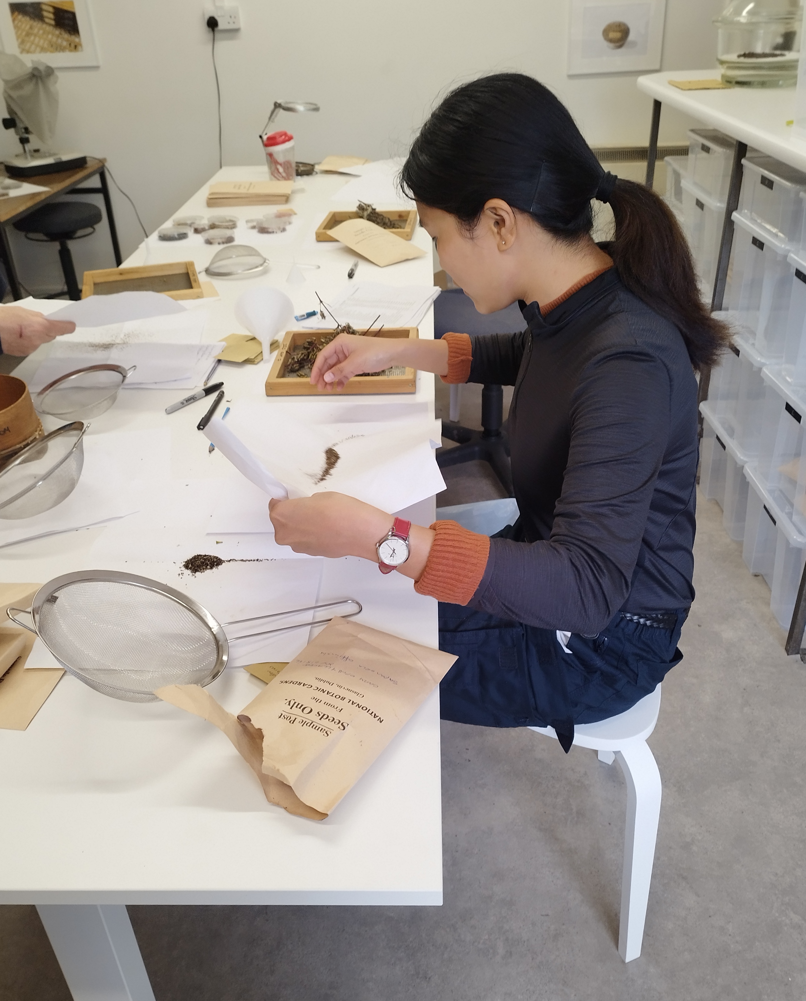 Student sitting at a desk doing horticulture research