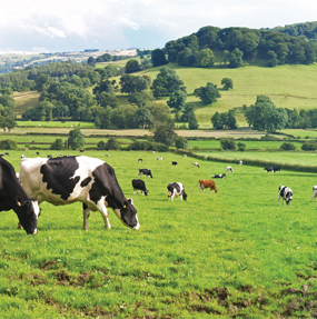 Agricultural Science