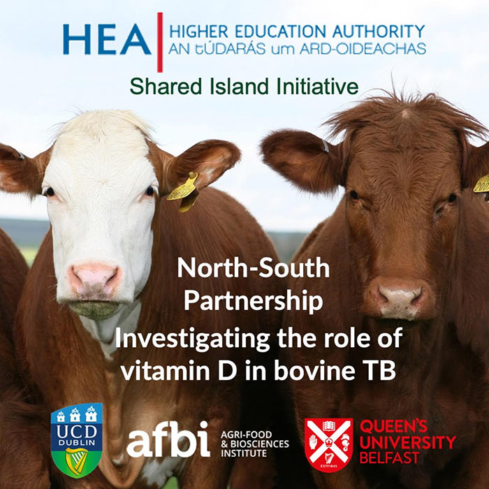 North-South partnership to investigate role of vitamin D in bovine TB