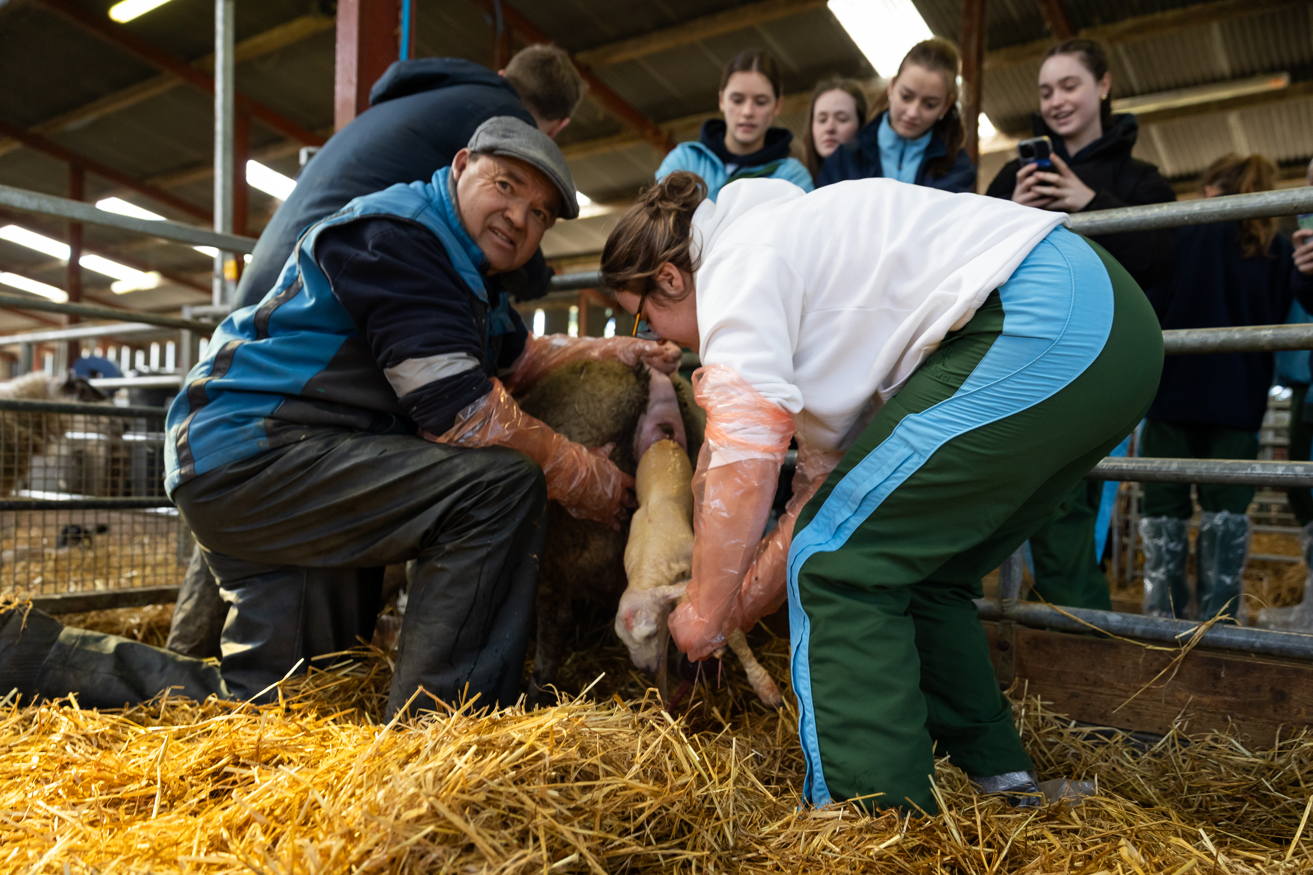Farm Walk and Talk 2025