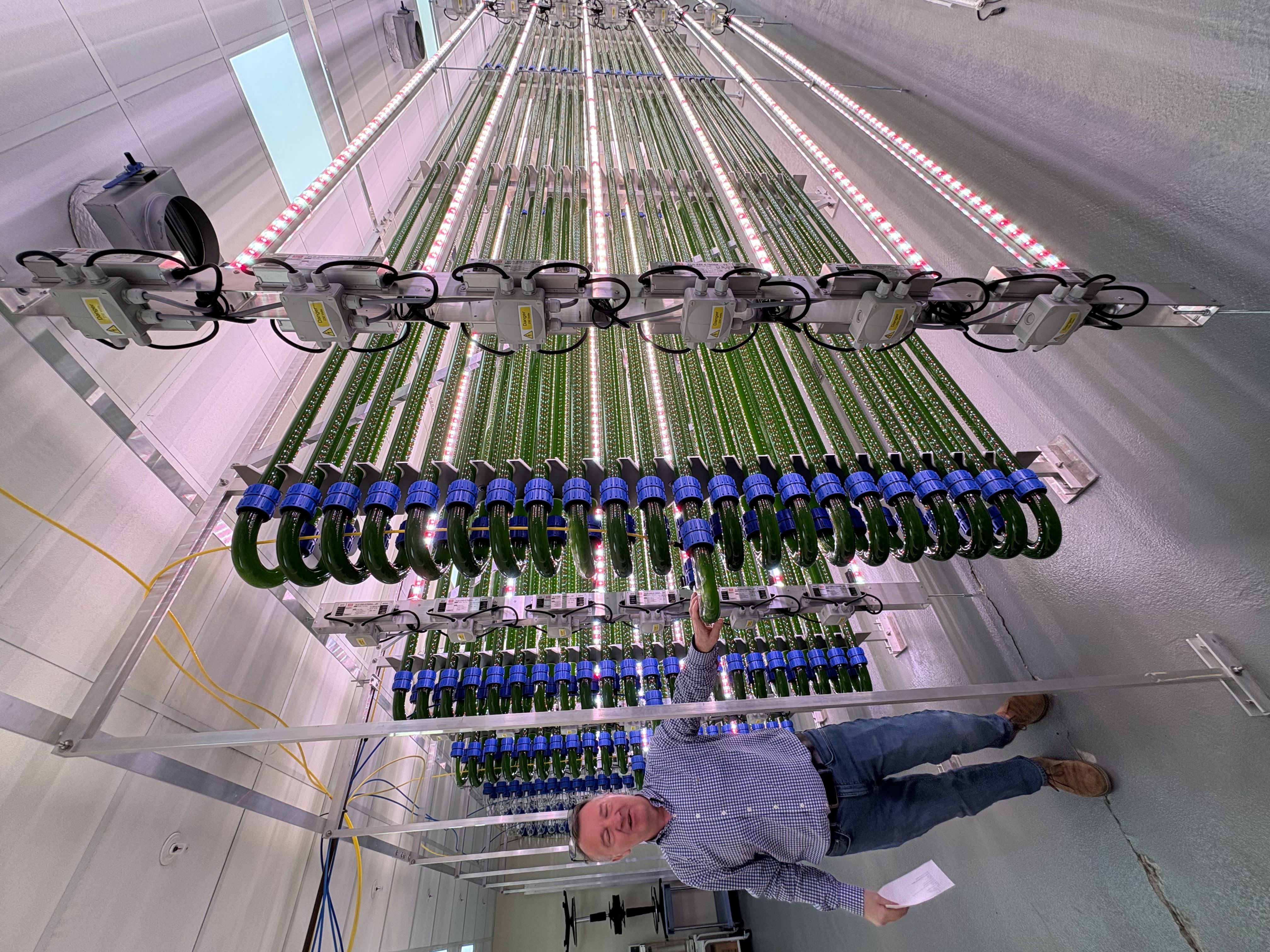 Algaecytes_reactor