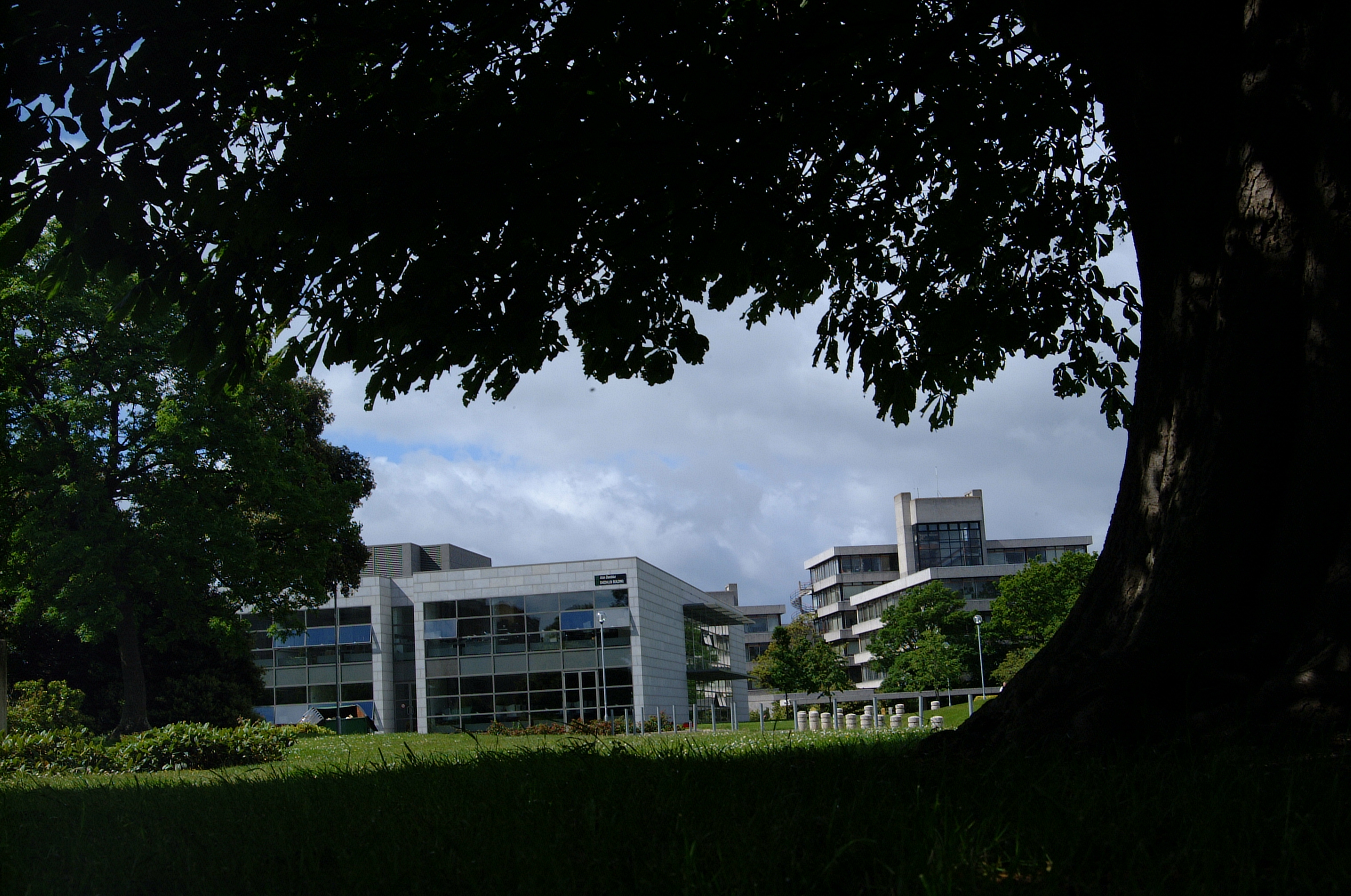 IT Services Daedalus Building