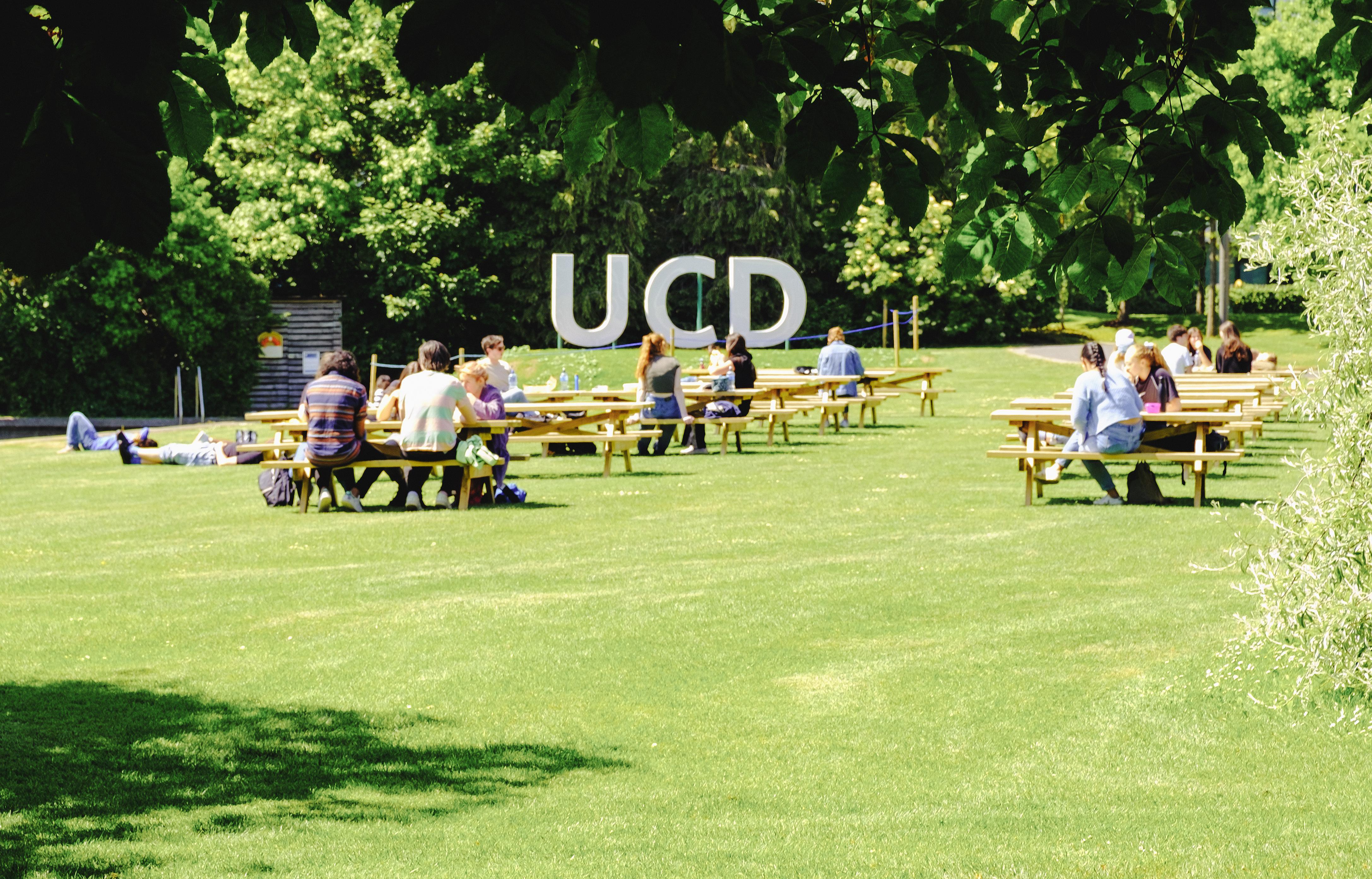 Students sitting on grass in front of big UCD letters
