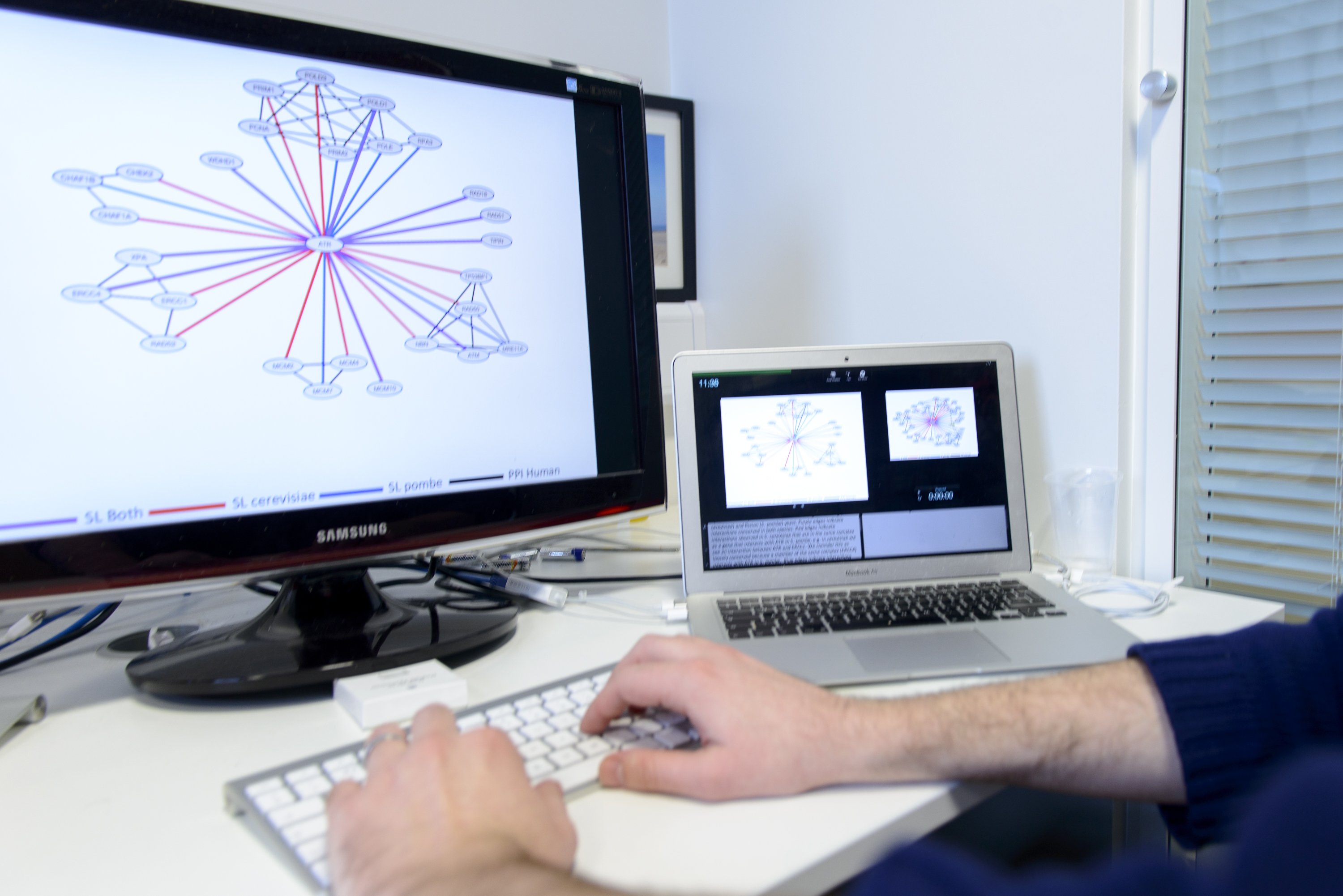 Someone typing on a keyboard with images on a computer screen