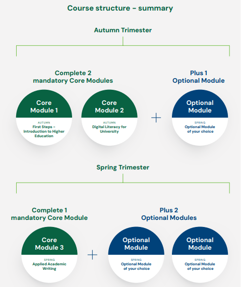 Diagram showing the mandatory and elective AHSSL modules