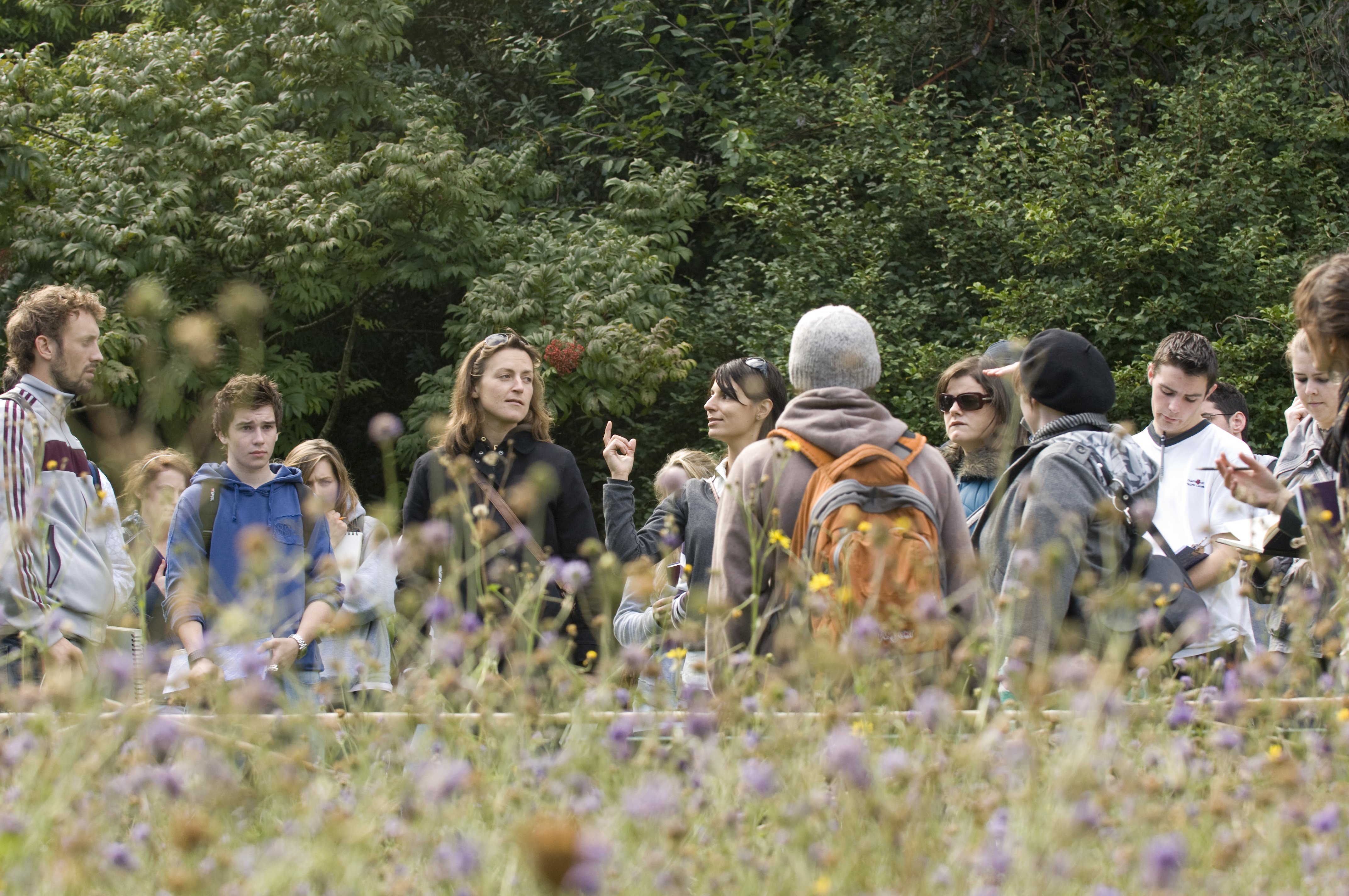 A group of students in a field of flowers