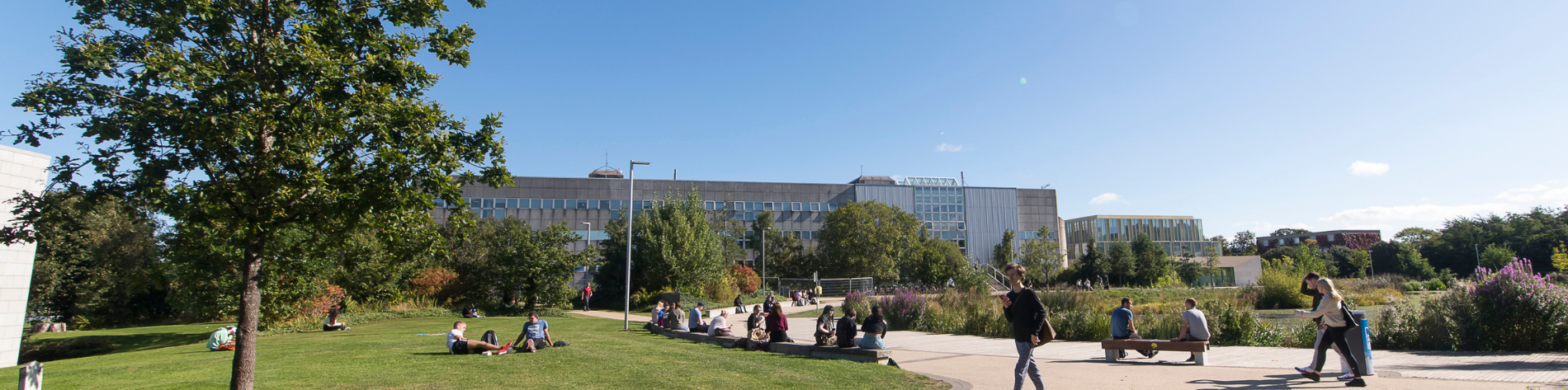 UCD Campus looking at Roebuck building. Image shows green lawns and trees in the foreground with students walking to class. It is a blue-skies day.