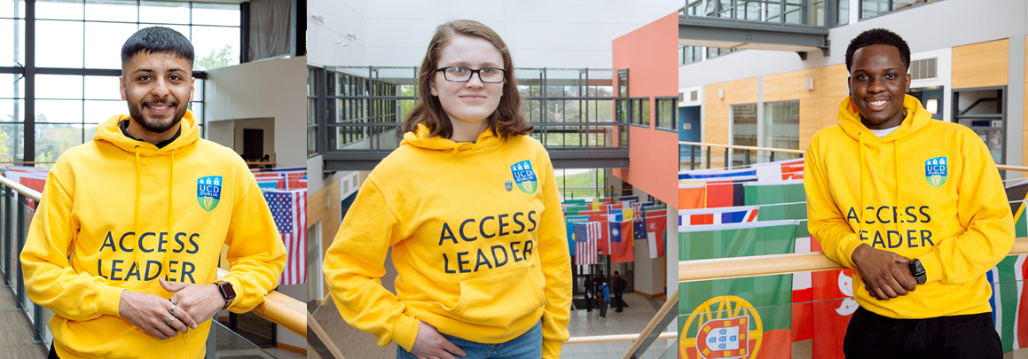 Digital Ambassadors