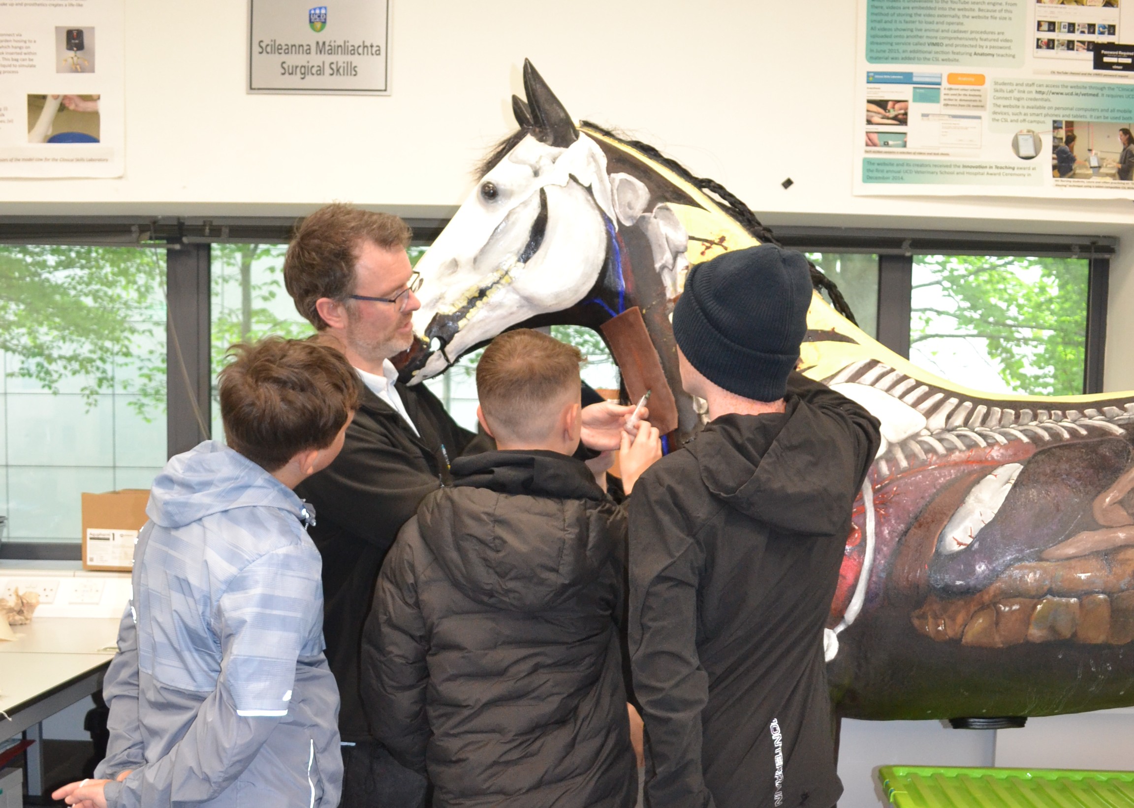 Vet workshop I Decide