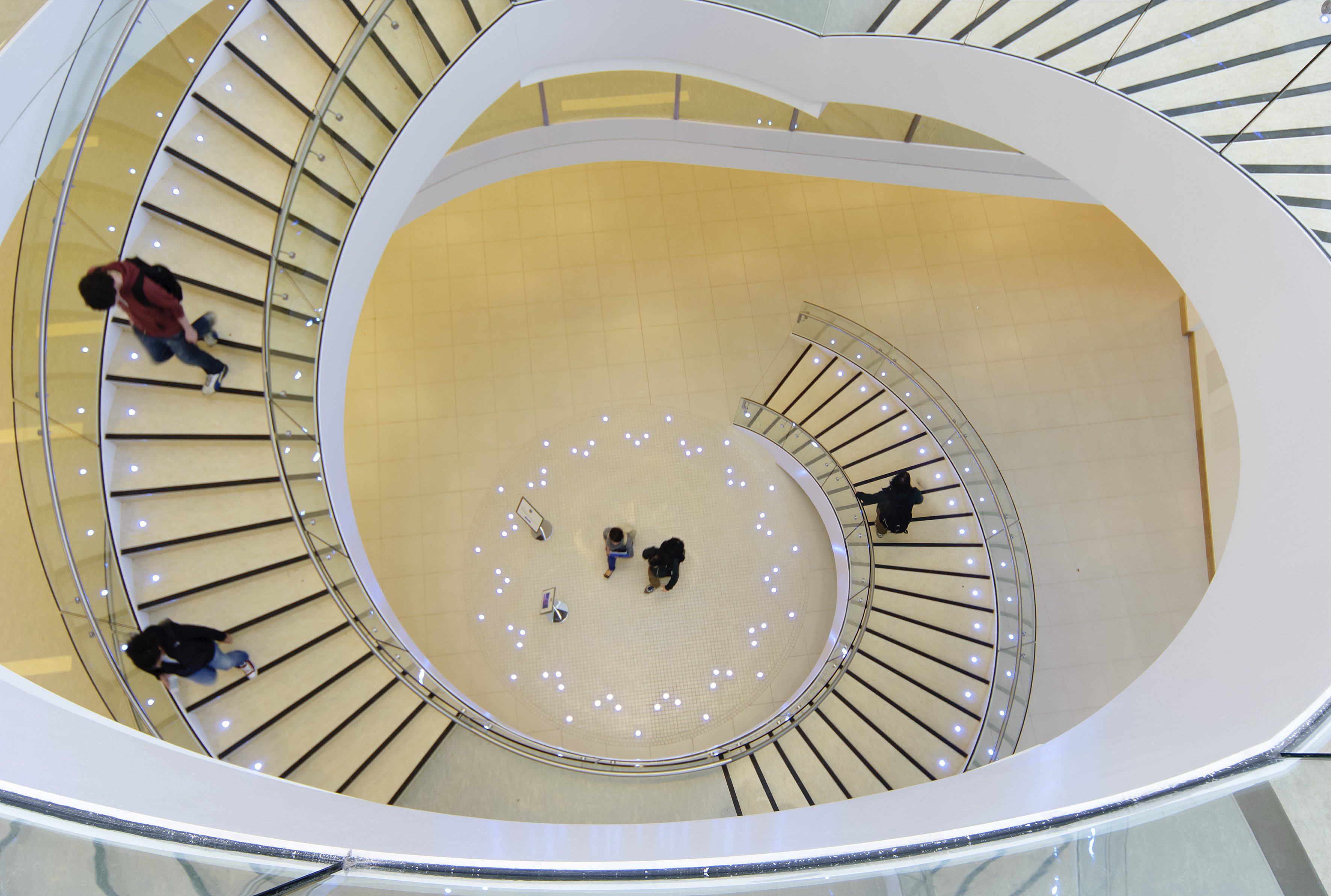 Student on the stairs in Science East, looking down into the stairwell