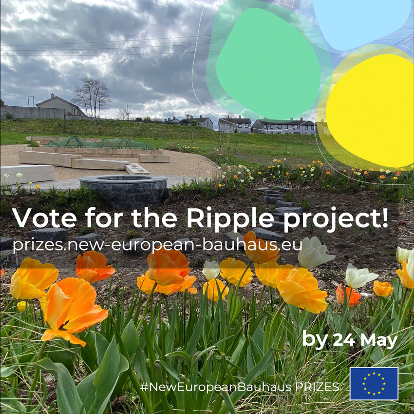 ‘Beautiful’ Irish town project shortlisted for prestigious EU prize