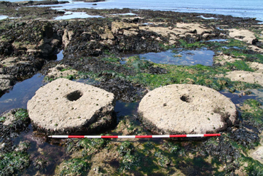 Pair of millstones, Harrylock Millstone Quarry, The Hook Peninsula, Co. Wexford