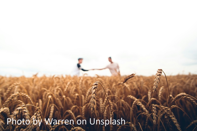 Two people standing in a field of wheat shaking hands. Photo by Warren on Unsplash.